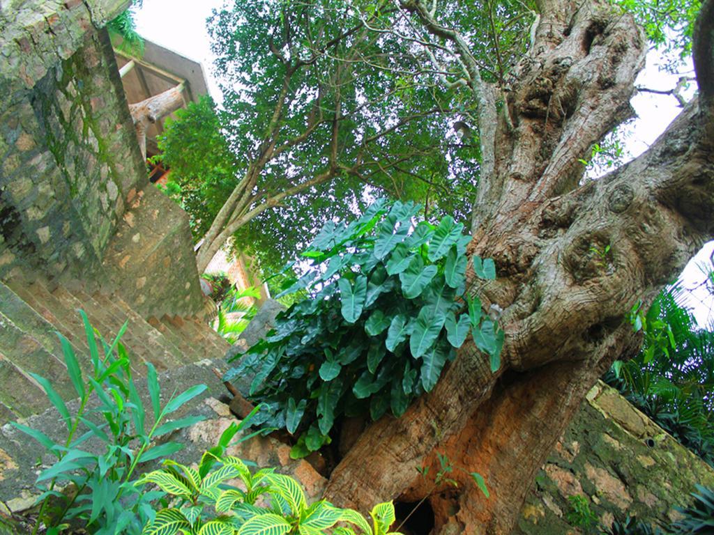 Mount View Hotel Polonnaruwa Ngoại thất bức ảnh