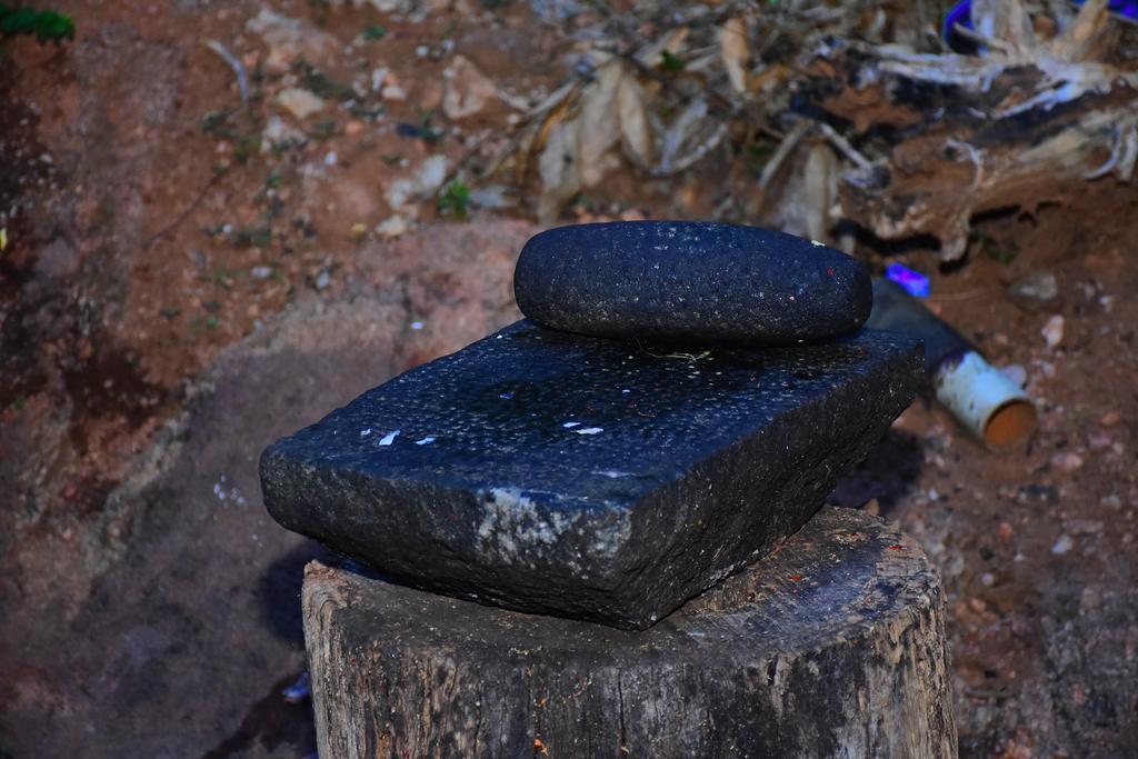Mount View Hotel Polonnaruwa Ngoại thất bức ảnh