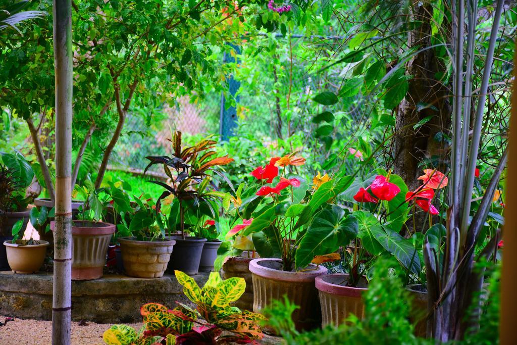 Mount View Hotel Polonnaruwa Ngoại thất bức ảnh