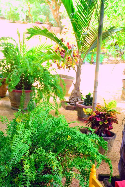 Mount View Hotel Polonnaruwa Ngoại thất bức ảnh
